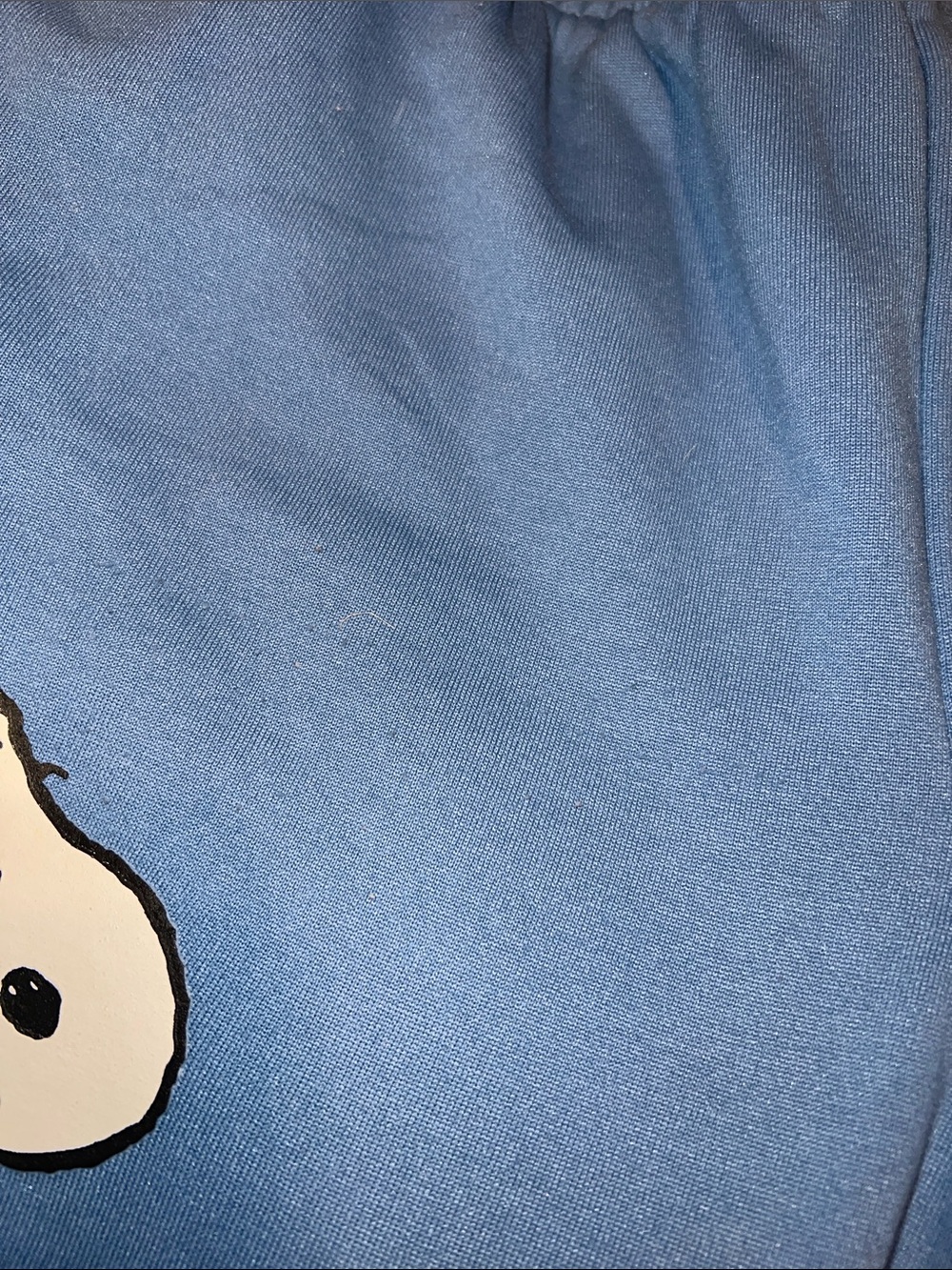 Peanuts Blue Snoopy & Woodstock Track Joggers - Picture 7 of 7